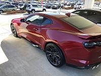 19 zl1