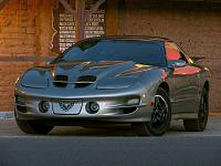 My Trans Am - Natalie