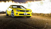 Burning Hot Bumblebee