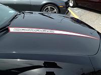 Custom hood spears..