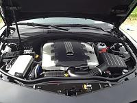 558676 10151545416416066 531122067 n