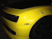 That damn Armadillo!