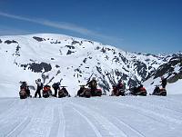 Sledding buddies from everywhere.