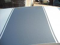 Camaro stripe photos 11 5 09 038