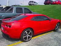 The day I picked her up.