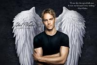 Thank you Paul Walker for bing a figure in our lives that made us love to go fast... Brian O'Conner will always be one of my fav's. Even if I didn't know you, It felt like I lost a family member...
