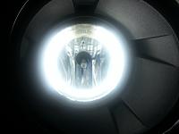 White CCFL foglights