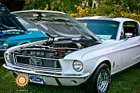 Mustang