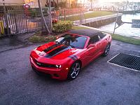 Big Worm Graphix Hash Marks