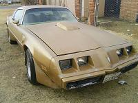 79 Trans Am