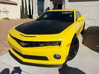 Sittin' looking pretty