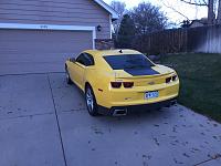 Bumble Bee a u tiful