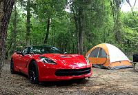 Everything fit! Not pictured: cooler, luggage, food, etc