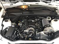 Photo Aug 10, 3 03 35 PM (1)