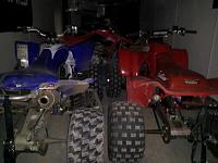 The twins from different mothers