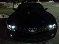 The Bat