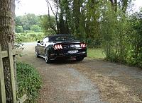 alois b�cker mustang gt alois buecker premium IV 15