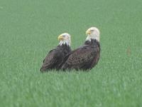 Captured this shot traveling on route 17