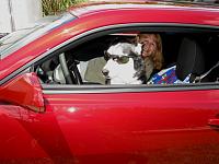Our Siberian Husky, Nikki, ready to cruise.