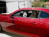 Letting Mom drive is going to be a challenge