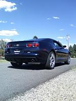 random shots by a wheatfield