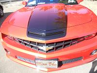 hood graphics & new plate