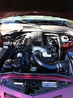 Whipple 2.9L