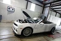MG 1288
