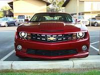 Camaro's First Day Home