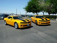 Trans4mr and Arizona Bumblebee