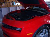 Kelly family photos 001