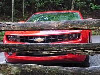Mean Look through a split rail fence - I love this one!