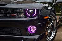 ACC Color Shift Halo kit - purple