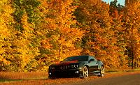 fall color1