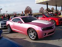 PinkCamaro1