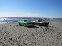 The two that really braved the sand.