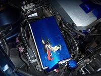 Big Bad Wolf found his way onto the fuse box lid too.