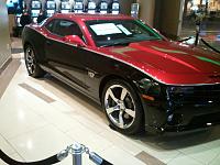 dale sr h.o.f. edition camaro.