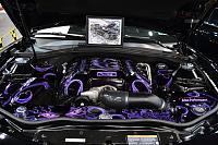 2012 34th Annual Corvette / Chevy Expo