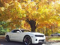 Fall pics