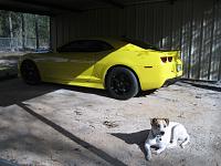 new light bar  rims and tires 016