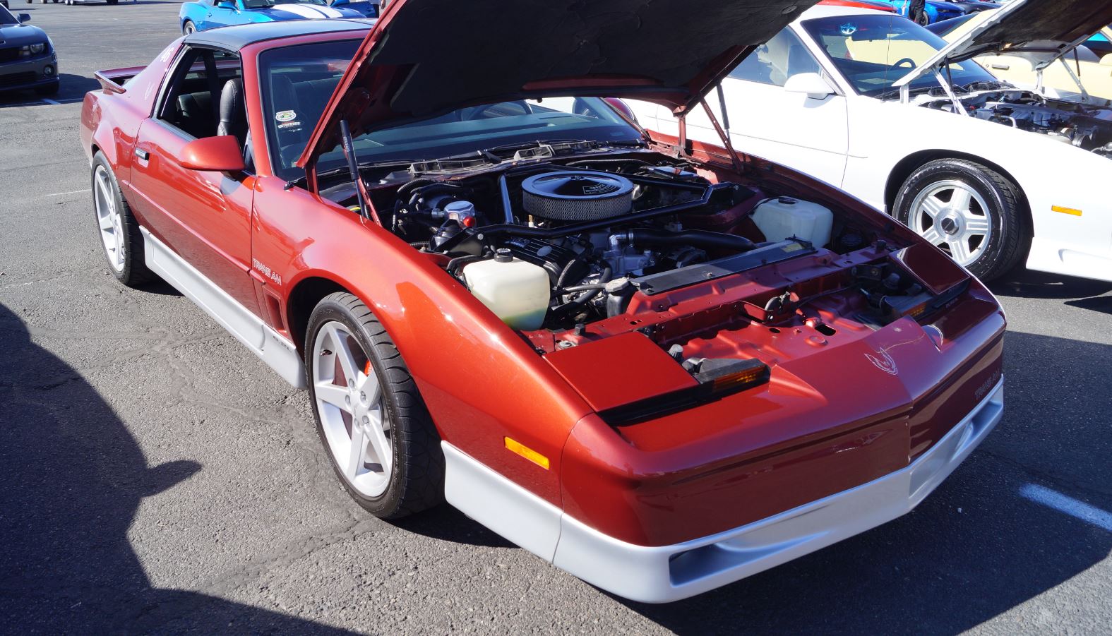 Name:  car show 12.JPG
Views: 1721
Size:  276.0 KB