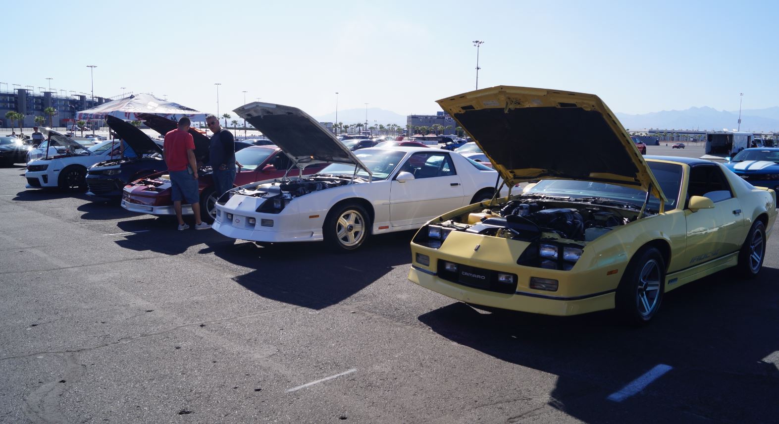 Name:  car show 13.JPG
Views: 1518
Size:  200.1 KB