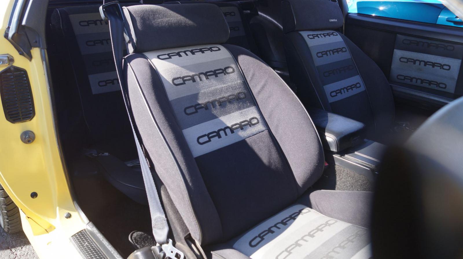 Name:  car show interior 4th gen.jpg
Views: 1504
Size:  131.0 KB