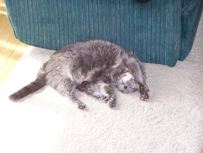 Name:  Mouzer.JPG
Views: 868
Size:  86.1 KB