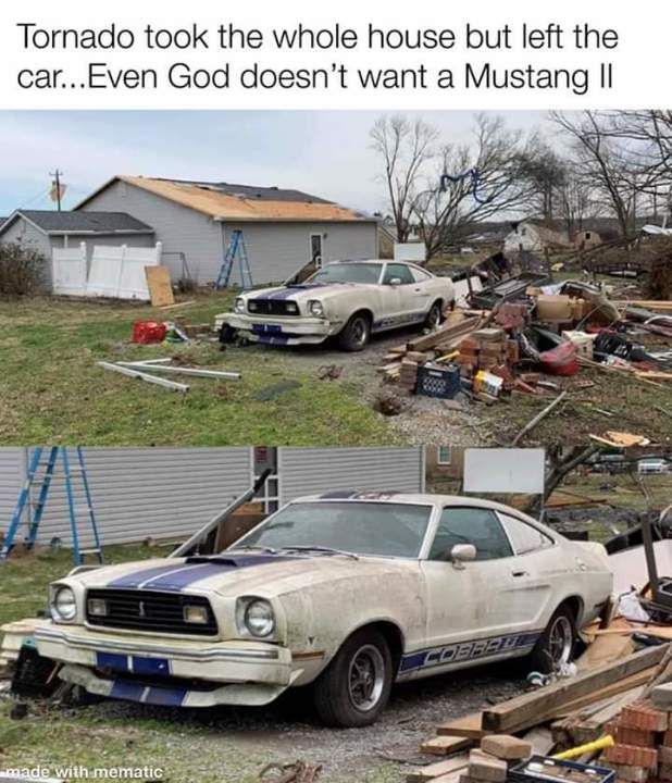 Name:  stang 2.jpg
Views: 571
Size:  81.7 KB