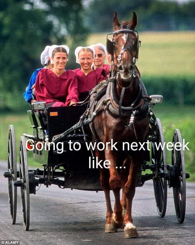 Name:  FB_IMG_1620858774370.jpg
Views: 814
Size:  76.4 KB