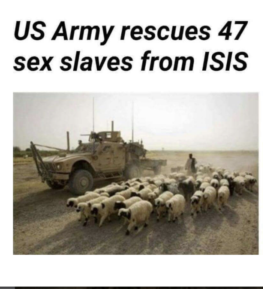 Name:  CDD00885-A179-404C-AE99-AC0914EB974F.jpeg
Views: 1034
Size:  413.7 KB