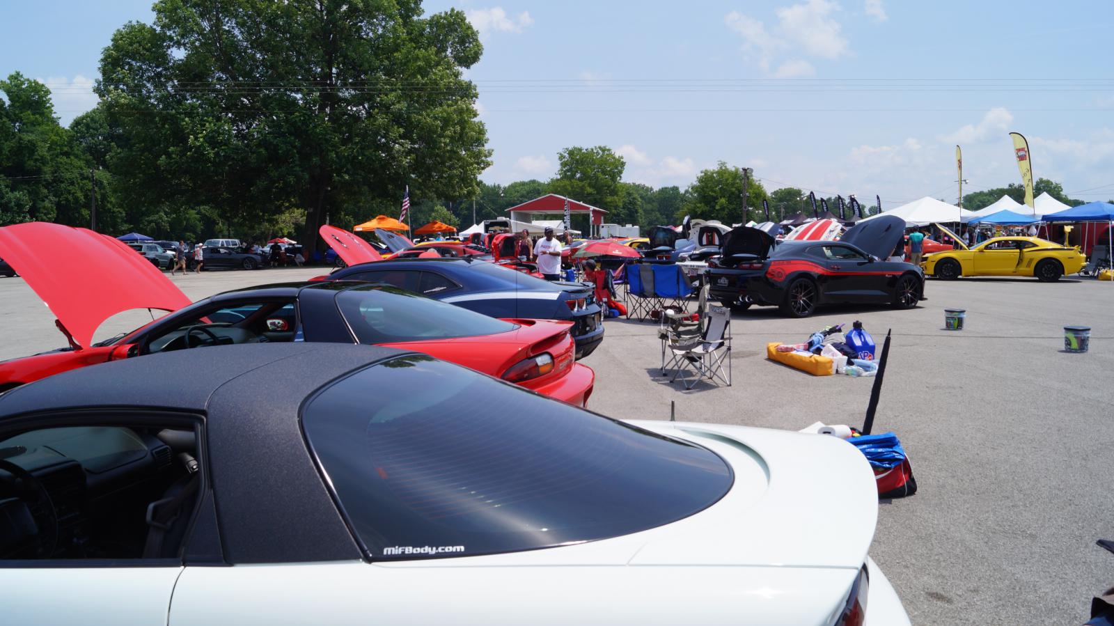 Name:  DSC07488.jpg
Views: 1002
Size:  185.4 KB