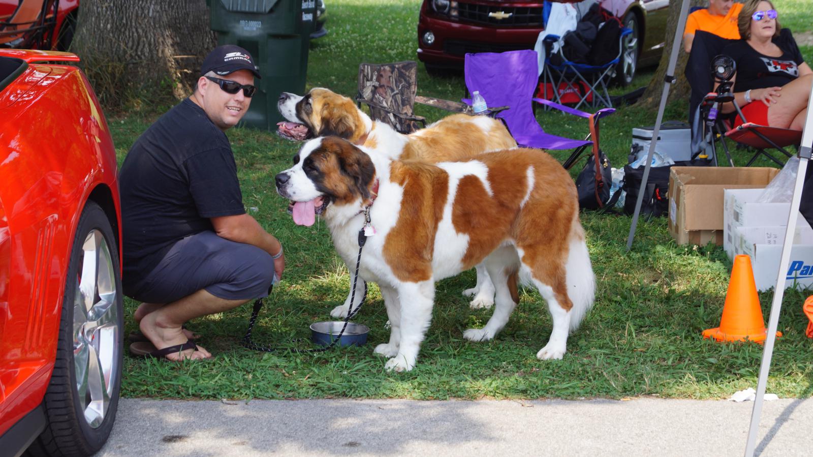 Name:  DSC07493.jpg
Views: 956
Size:  229.0 KB